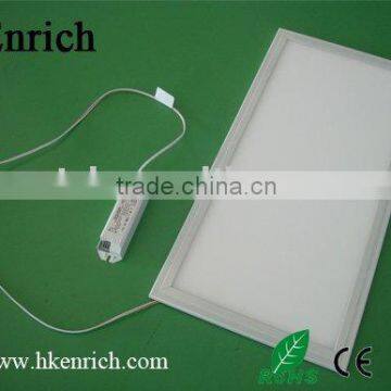 LED Panel Light 600x300 (with fast connector)