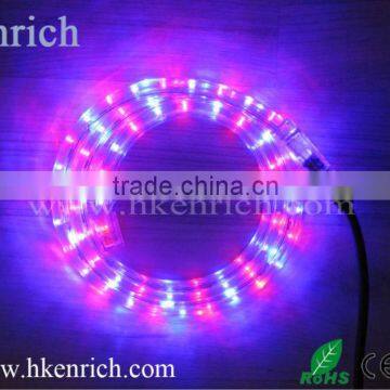 220v color changing Flexible LED Rope light