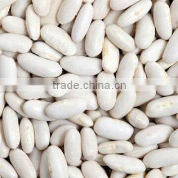 WHITE KIDNEY BEANS