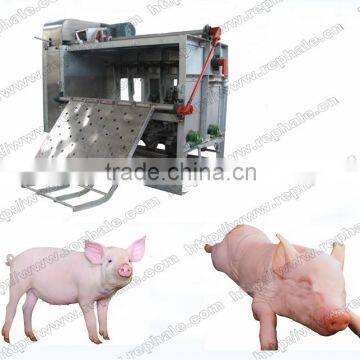 Best quality pig dehair machine on sale