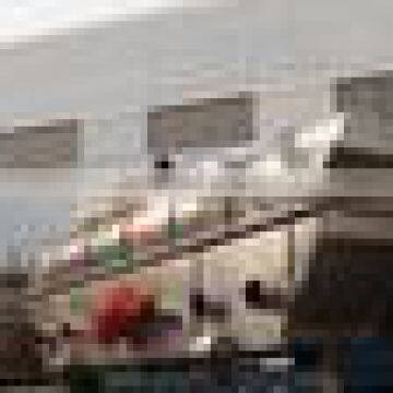 Chicken essence vibrating fluid bed dryer/Chicken granules dryer