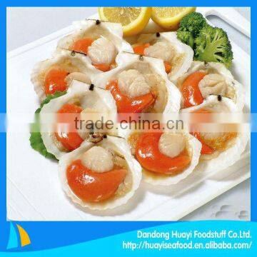 frozen scallop for sale