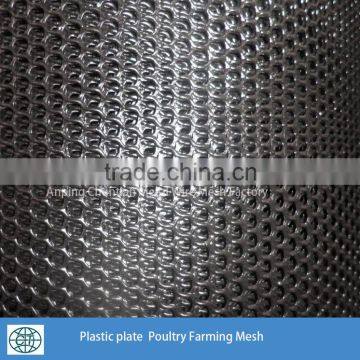 Hot Sales 8x9mm 400g/sqm Hexagonal Hole Plastic Plate Mesh For Poultry Farming photo-4