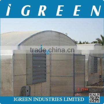 Single Tunnel Polycarbonate Sheet Vegetable Greenhouse From CHINA photo-3