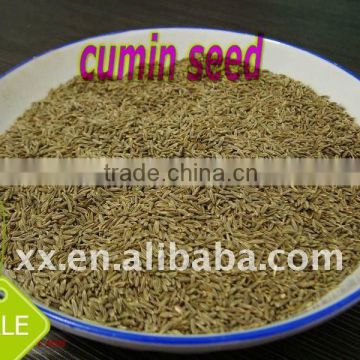 2011 new crop cumin seed for sale