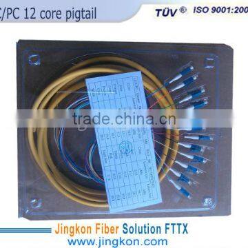 SC 12 core fiber optic pigtail/12 core fiber pigtail /12 core pigtail