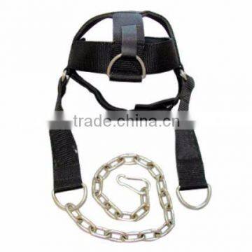 Head Harness