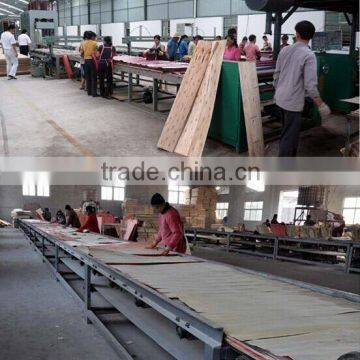 Core Board Forming Fully Automatic Machine Multi-layer Board/plywood Veneer Paving Machine photo-4