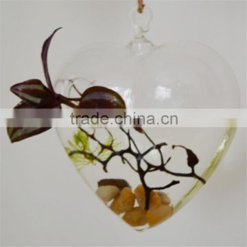 Hanging Vase Of Transparent Glass Landscape Water Succulents Simple Love Arts And Crafts Ornaments