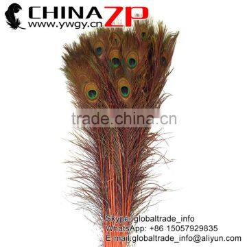ZPDECOR Wholesale Hottest Full Eye Dyed Natural Orange Peacock Feathers for Headdress