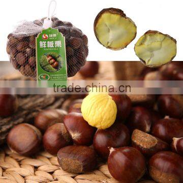 New Crop Fresh Shandong Chestnuts photo-5