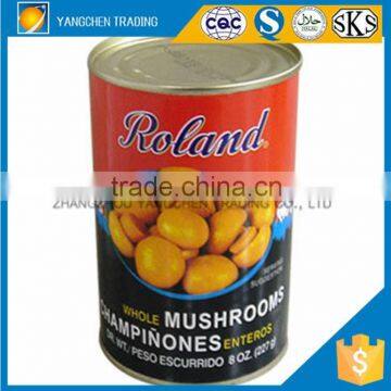 best whole canned mushroom for Europe