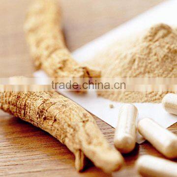 ginseng powder