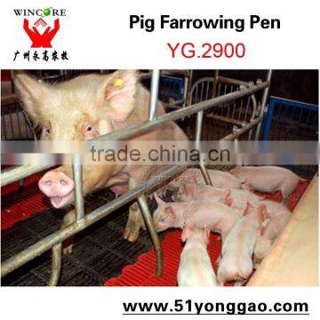 Guangzhou High Quality Low Price Farrowing Crate for sale