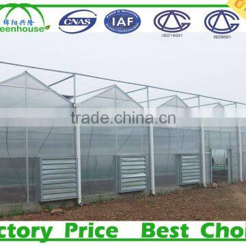 China Agricultural Greenhouse