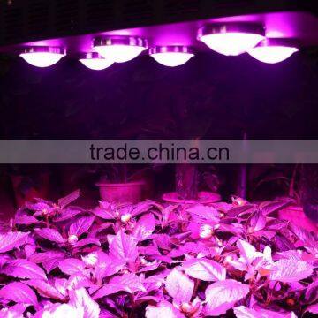 540W COB LED Grow Light for Greenhouse Hydroponics Greenhouse Ideal to Replace the 1000W HPS HID photo-6