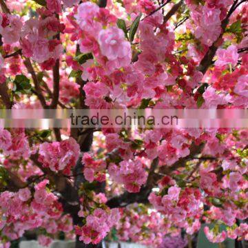 SJ1501033 Four Season Arvores Artificial Cherry Flower Tree With Factory Price photo-3