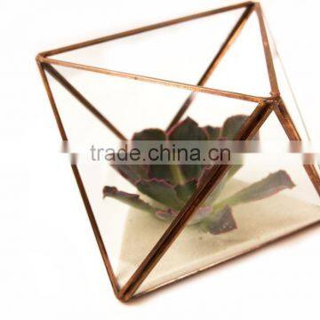 2016 Best Selling Tabletop Succulent Planter/Faceted Geometric Terrarium/Terrarium Box photo-5
