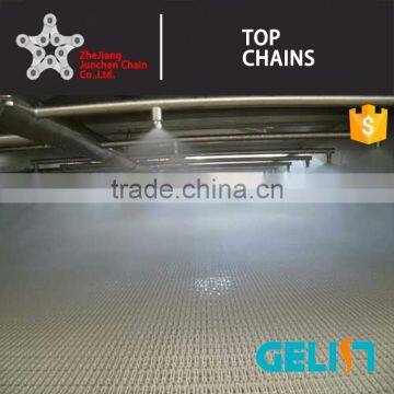 T-600 Modular Plastic Conveyor Mesh Belt for Sterilization Machine photo-3