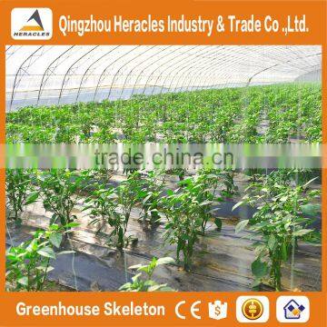 Heracles Trade Assurance Plastic Greenhouse for Sale photo-3