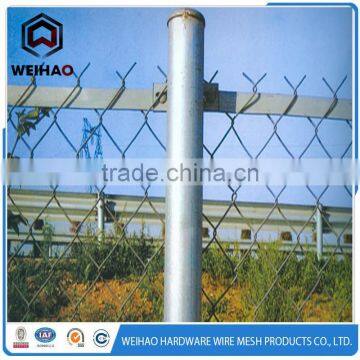 Galvanized Iron Wire Grassland Fence and Baby Milk Cow photo-3