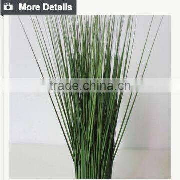 Hotsales Natural Cylinder Onion Grass for Garden Decoraction photo-4