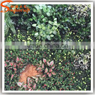 Wholesale Plastic Vertical Garden Green Wall Combination photo-5