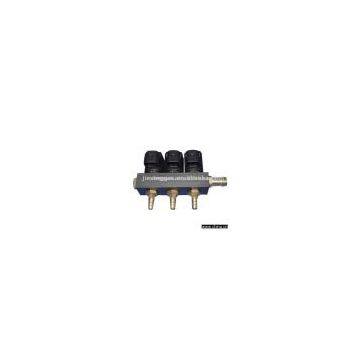 LPG Multipoint Sequential Injection Rails and Reducers