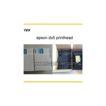Inkjet Spare Parts Dx5 Epson Print Head Eco Solvent Printer