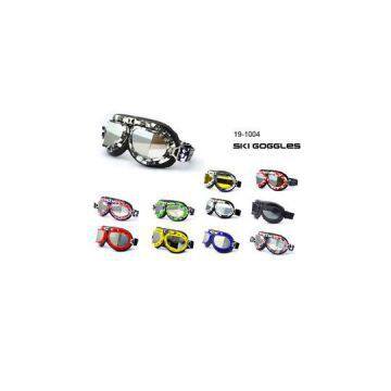 Ski Goggles