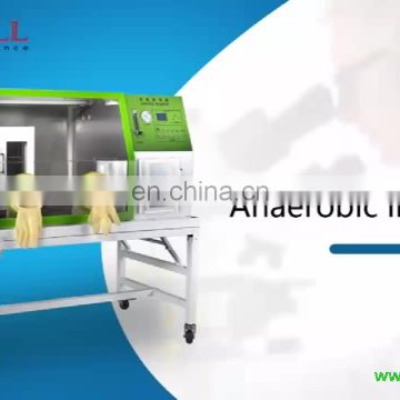 Wholesale Medical Incubator Lab Anaerobic Incubator For Cultivation Bacteria