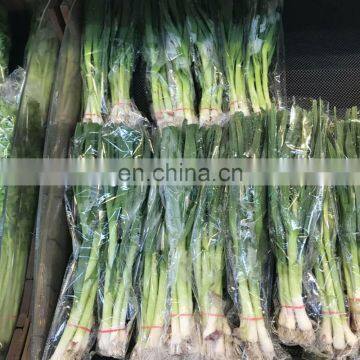 Professional Factory Garlic Bag Packaging Machine photo-5