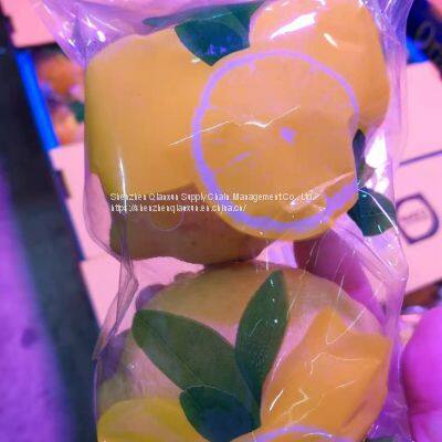 Mango & Lemon photo-4