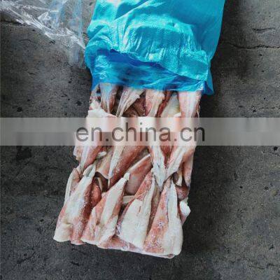 Frozen Squid Tip Giant Squid Tail Indian Ocean Squid Tip photo-3