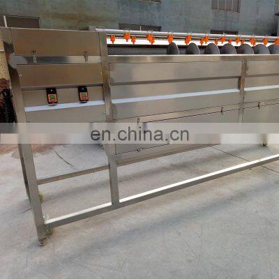 Fruit Vegetable Brush Cleaning Equipment Cassava Ginger Potato Peeling Washing Machine photo-5