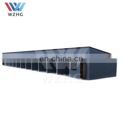 Custom Design Modern Prefabricated Steel Structure Workshop/hall/hangar