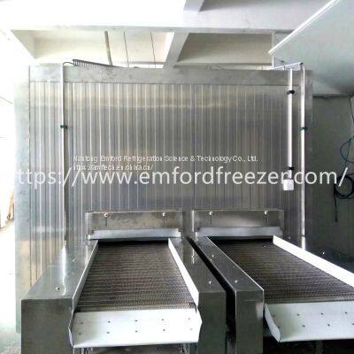 Mesh Belt Tunnel Freezer for Shrimp, Poultry, Meat, Pastry, Pasta, French Fries photo-4