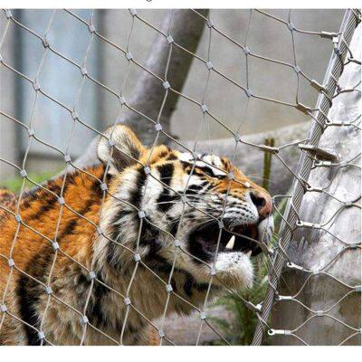 Not Easily Corroded Scenic Protection Stainless Steel Rope Uniform Mesh photo-4