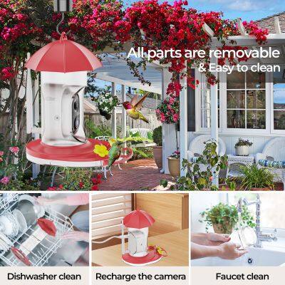 Outdoor Electronic Bird Feeder Cam Hanging Smart Humming Camera 2.4G-WIFI 3MP Hummingbird Feeder With Camera AI Identifies Bird photo-5