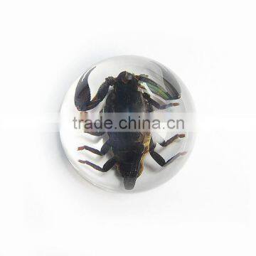 Promotional Gifts Clear Semicircle Crystal Desktop Ornament photo-3