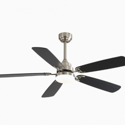 52 Inch Fan Light Living Room Dining Room/fan Blade Dual Ribbon Light 110V Ceiling Fan Light（Wechat:13510231336）