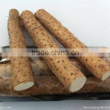 Chinese Fresh Wild Yam P.E. 16%