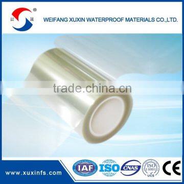 25 Mic Silicone Coated PET Release Film