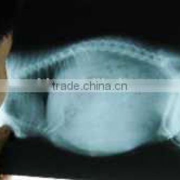 medical ct film of alibaba supplier, medical x ray film of alibaba supplier