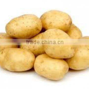 Indian hygienic potatoes