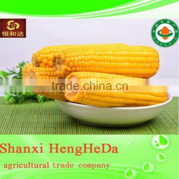 2014 Hot selling maize corn for japan