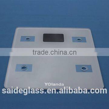 Silkscreen Body Scale/ Toughened Body Scale Glass