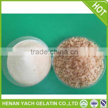 Hot selling bulk gelatin powder with low price