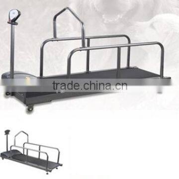 Pet Training Running Treadmill