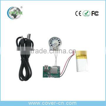 Recordable Sound Module For Greeting Card/ Sound Chip For Promotion photo-4